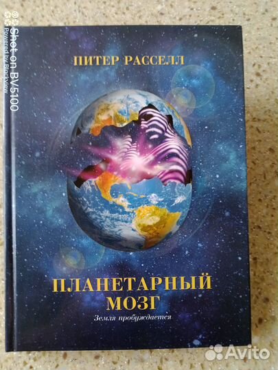 Питер Рассел. планетарный мозг