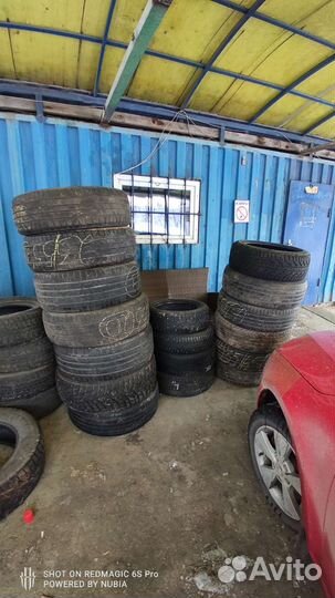 Accelera Beta 14/50 R14 и 195/50 R15