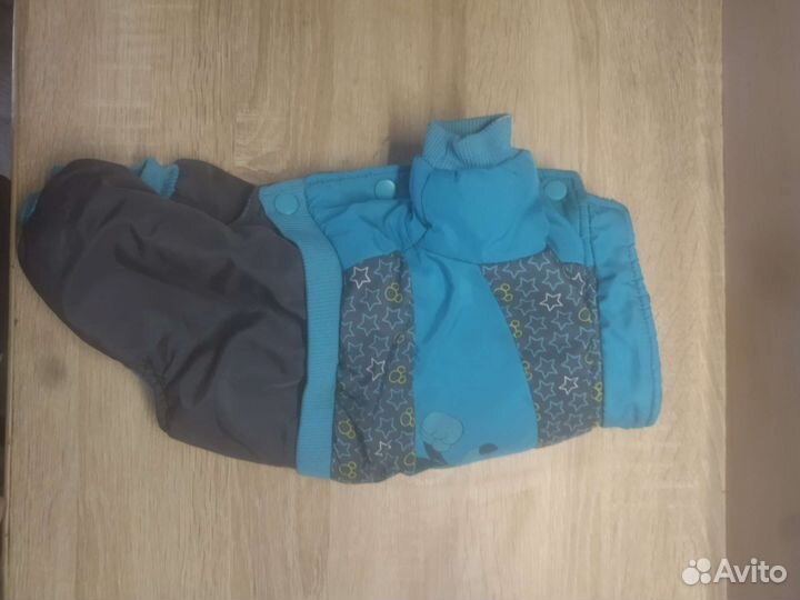 Зимняя одежда для собаки