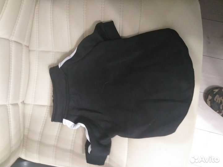 Толстовка для собак