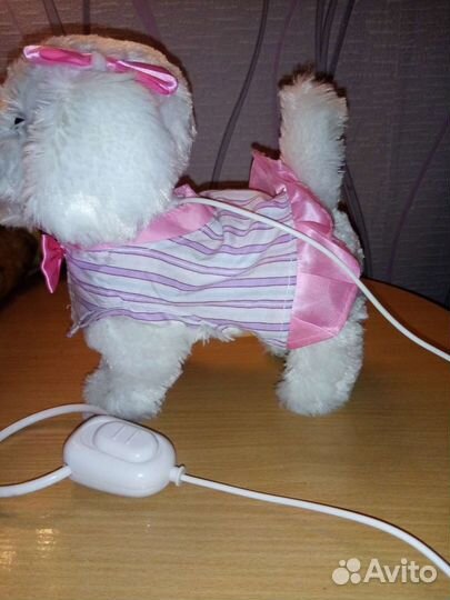 Интерактивная собака на поводке