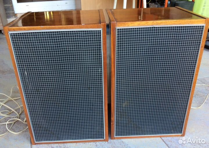 Акустические колонки 10 мас1М от Вега 002