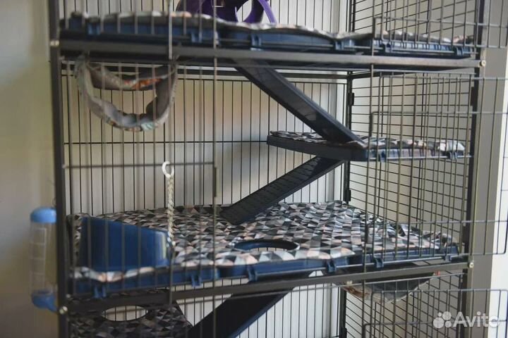 Большая клетка для шиншилл, попугая, хорька, дегу