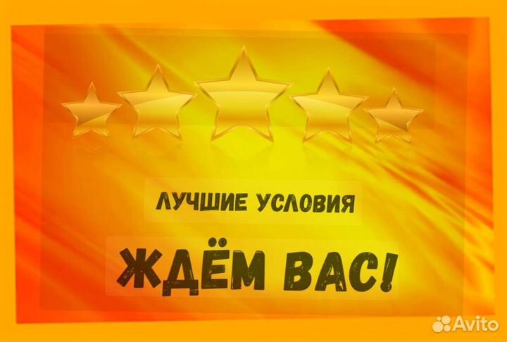 Сортировщик Еженедельный аванс Спецодежда М/Ж