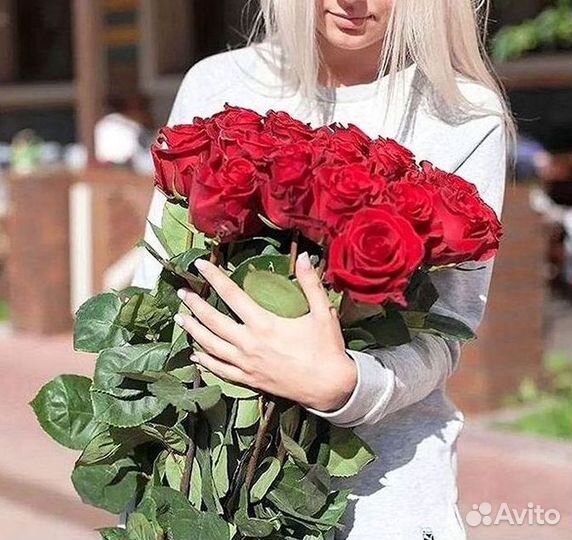 101 роза цветы букеты доставка 25 51 101 роза