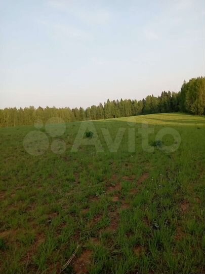 Участок 4,2 га (СНТ, ДНП)