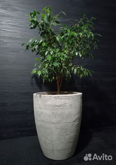 Вазоны, Горшки, Кашпо под заказ из бетона арт 126