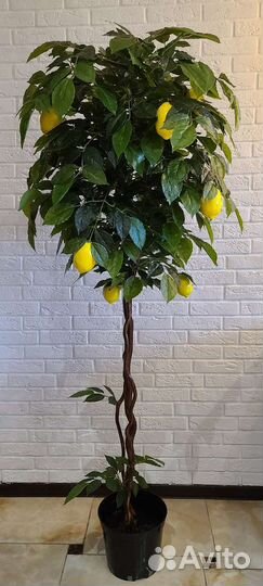 Искусственное дерево лимон