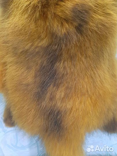 Мех крашеного енота