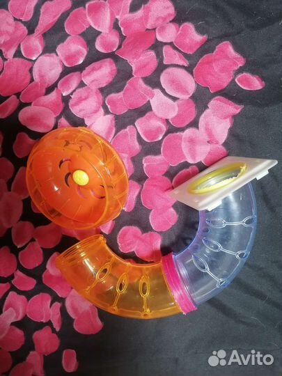 Товары для грызунов