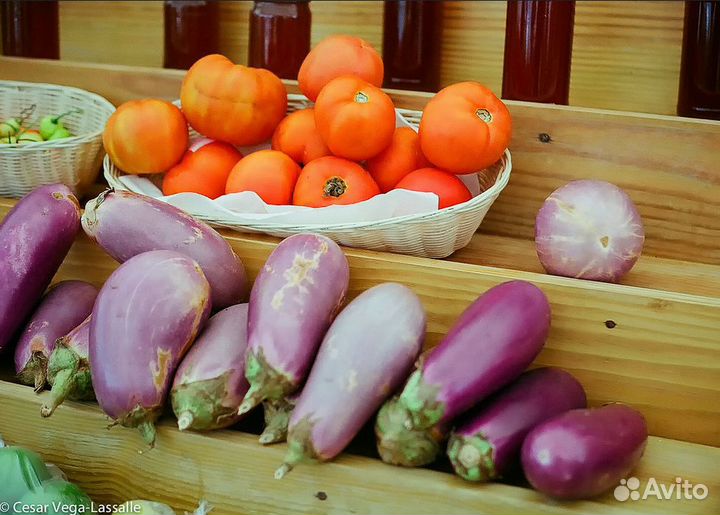 Для беззеркалок И-26м л/д 52 mm f/ 2,8