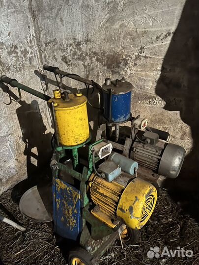 Доильный аппарат для коров