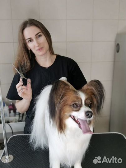 Груминг собак и кошек