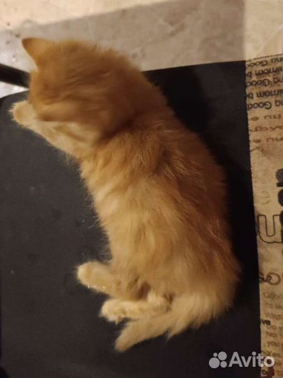 Мальчик в самые добрые ручки