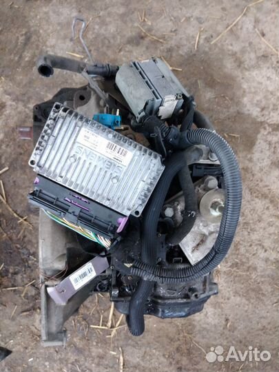 АКПП Peugeot 307 VF33 RFN