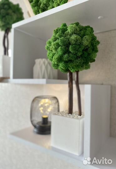 Топиарий из стабилизированного мха