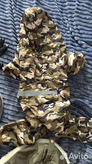 Одежда и принадлежности для щенка