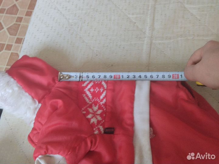 Одежда для собак мелких пород