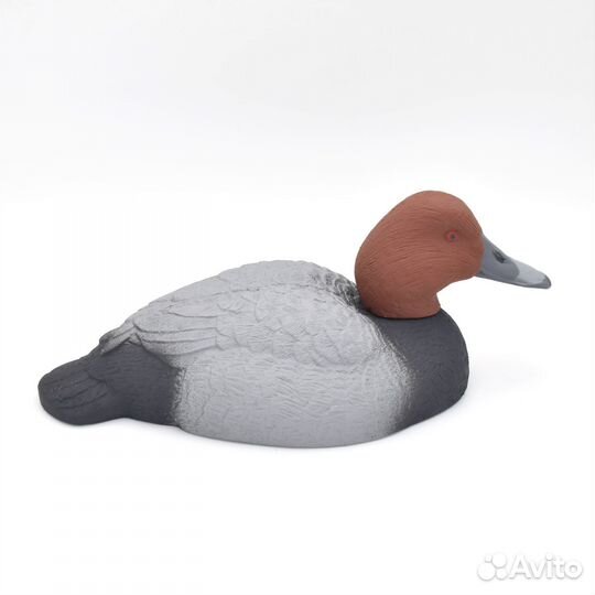 Чучела уток Красноголовый нырок для охоты
