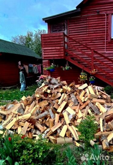 Дрова Береза