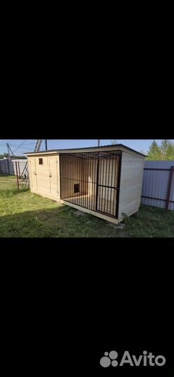 Бесплатная передержка собак