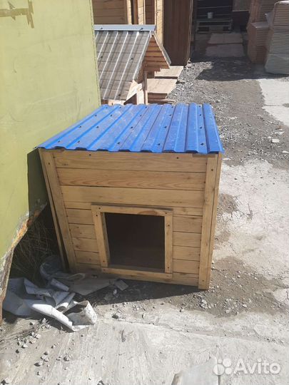 Собачья будка