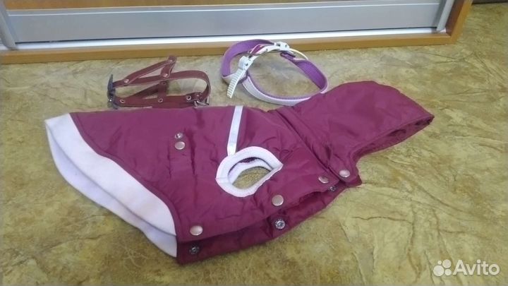 Комбинезон и две шлейки для собак мелких пород