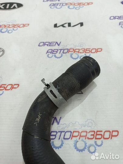 Патрубок радиатора Nissan Note 1.6 HR16 2013