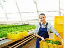 работа ру санкт-петербург.