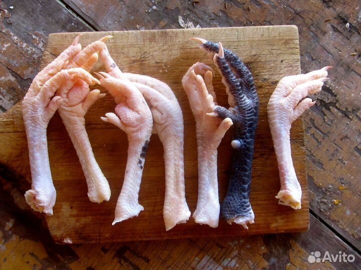 Сортировщица Вахтой в Белгородская область