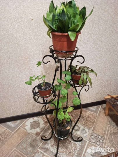 Полка под цветы