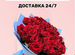 Розы Доставка Цветов 25 51 101 Роза