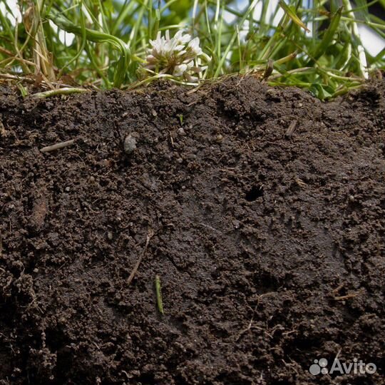 Плодородная земля