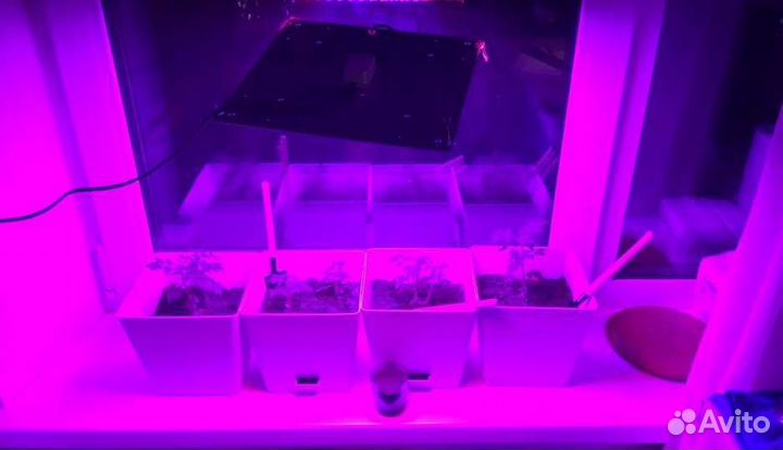 Фитолампа для растений