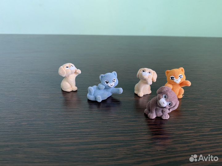 Домашние животные