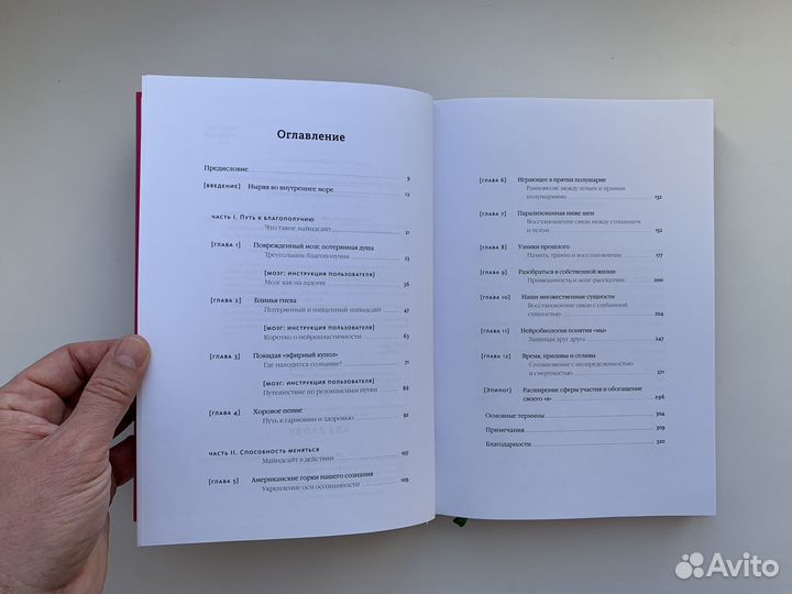 Майндсайт Дэниел Сигел