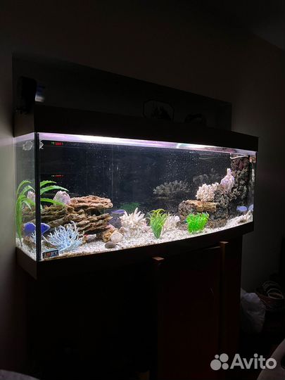 Аквариум