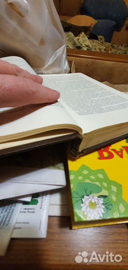 Нефриты 1958 год Е. М. Тареев