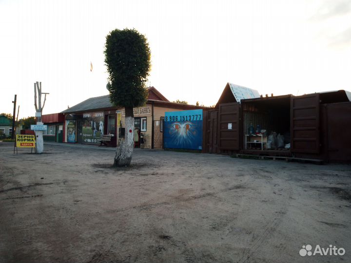 Веники дубовые