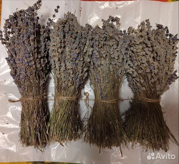 Лаванда, сушеная, сухоцвет букет