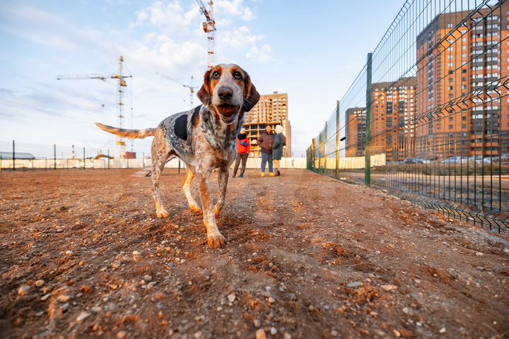 3-к. квартира, 69,8 м², 9/18 эт.