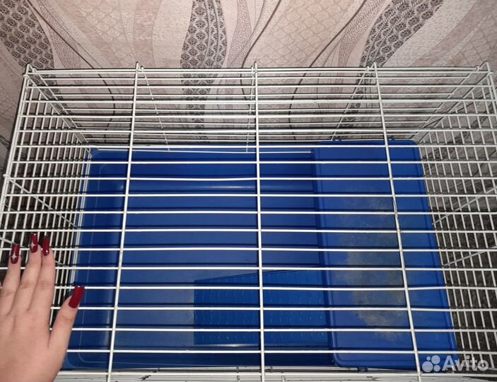 Клетка для животных(крыс, шиншил, кроликов)