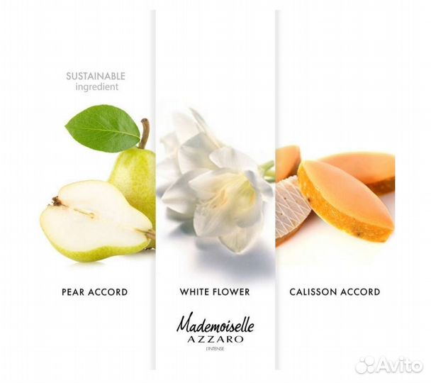 Mademoiselle Azzaro Intense