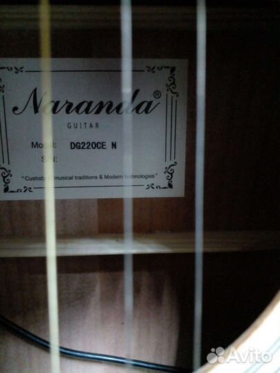 Концерт электро акустика