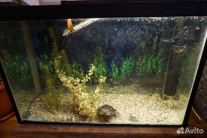 Аквариум