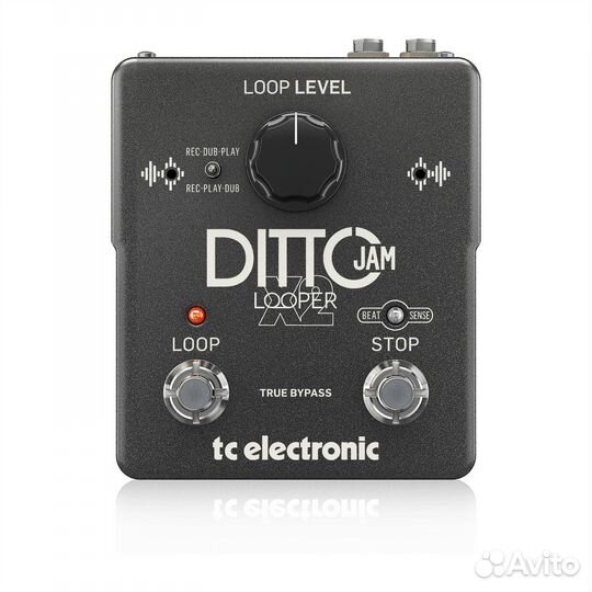 TC electronic ditto JAM X2 looper, интуитивный лупер с технологией BeatSense