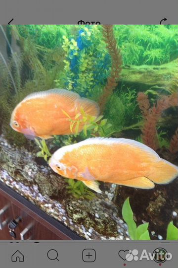 Чистка аквариума