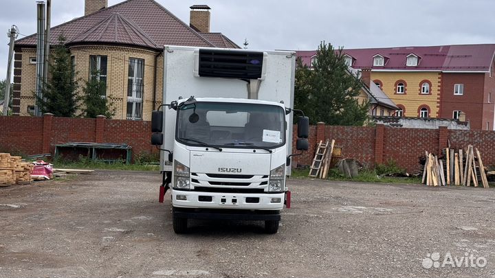 Isuzu Elf (N-series), 2024