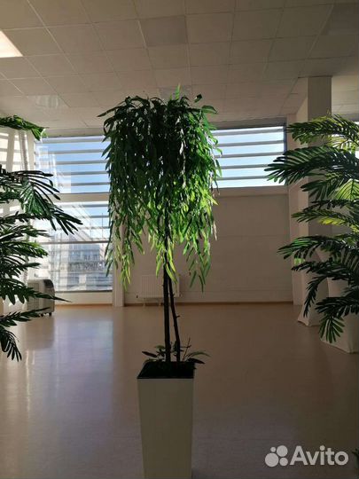 Искусственные деревья и цветы