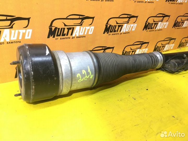 Амортизатор задний левый Mercedes S-Classe W221